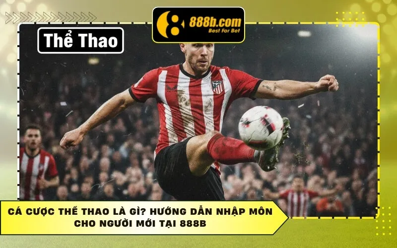 Cá Cược Thể Thao Là Gì? Hướng Dẫn Nhập Môn Cho Người Mới Tại 888b