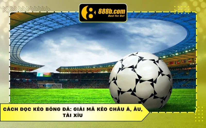 Cách Đọc Kèo Bóng Đá: Giải Mã Kèo Châu Á, Âu, Tài Xỉu