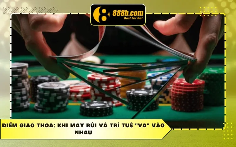 Điểm giao thoa: Khi may rủi và trí tuệ "va" vào nhau