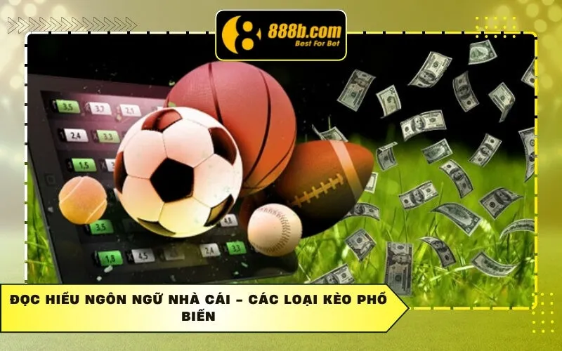 Đọc hiểu ngôn ngữ nhà cái - Các loại kèo phổ biến